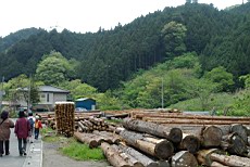Nenog08.JPG
