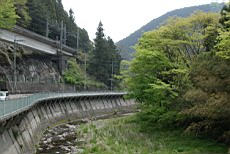 Nenog10.JPG