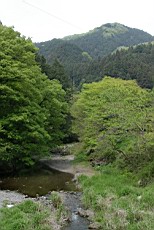 Nenog12.JPG