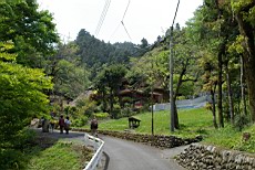 Nenog24.JPG