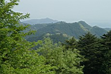 Nenog50.JPG