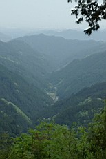 Nenog54.JPG