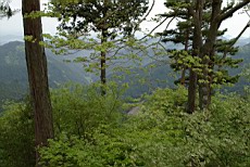Nenog57.JPG