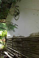 Nenog76.JPG