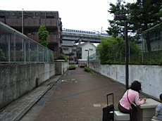 R0011355.JPG
