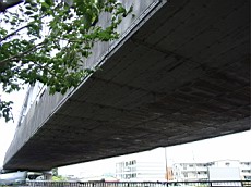 R0011417.JPG