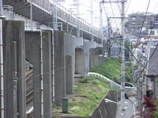 R0011421.JPG