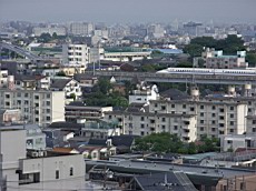 R0011468.JPG