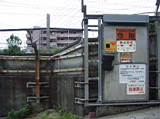 R0011603.JPG