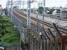 R0011611.JPG