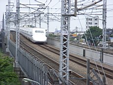 R0011618.JPG