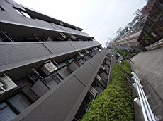 R0011634.JPG