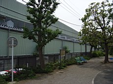 R0011802.JPG