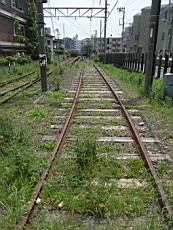 R0011824.JPG