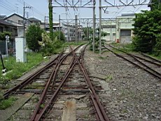 R0011833.JPG
