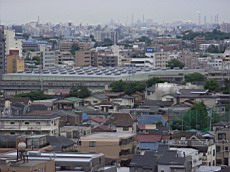 RIMG1342.JPG