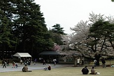ShnGyo02.JPG