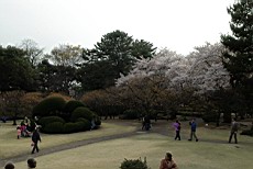 ShnGyo06.JPG