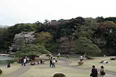 ShnGyo08.JPG