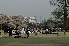 ShnGyo25.JPG