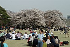 ShnGyo28.JPG
