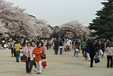 ShnGyo48.JPG