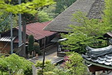 Tenryu52.JPG