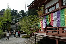 Tenryu53.JPG