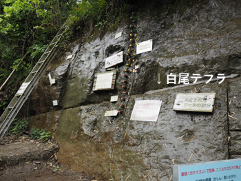 資料2　写真