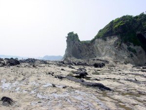 波食台と海食崖
