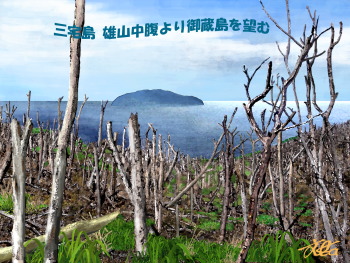 絵6　雄山中腹より御蔵島を望む