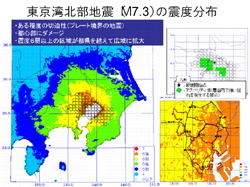 東京湾北部地震 震度分布