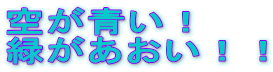 空が青い!
緑があおい!!