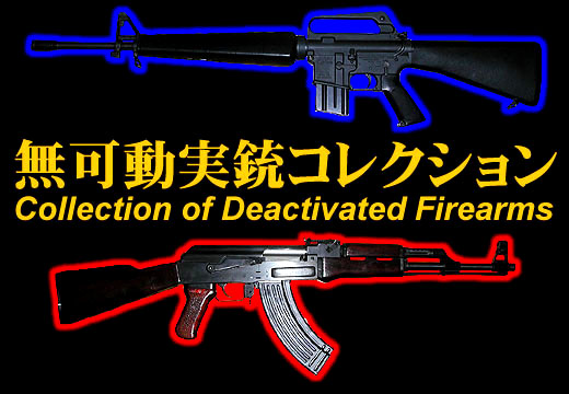 eRNV Collection of Deactivated Firearms