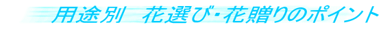 prʁ@ԑIсEԑ̃|Cg