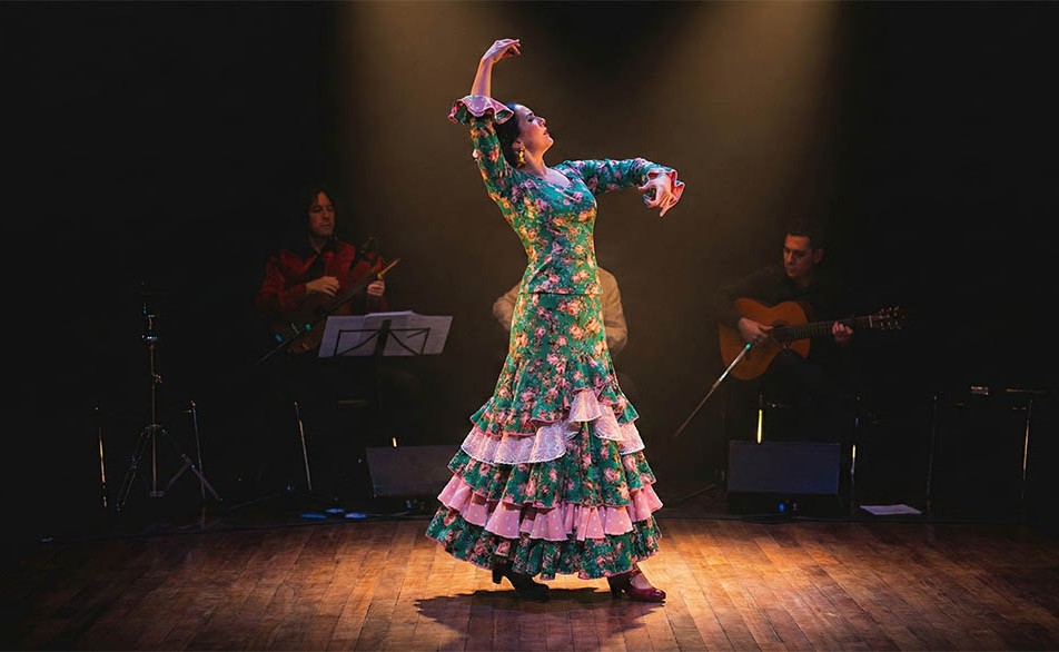 フラメンコ衣装ロゼ花子 メイン画像