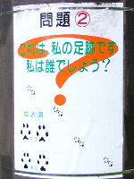 L^Lcl̑