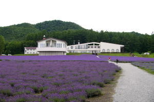 nChӂ