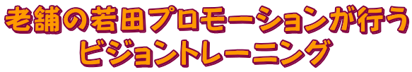 老舗の若田プロモーションが行うビジョントレーニング