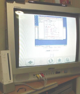 いまだにブラウン管テレビ。