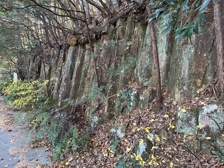 東山 柱状節理