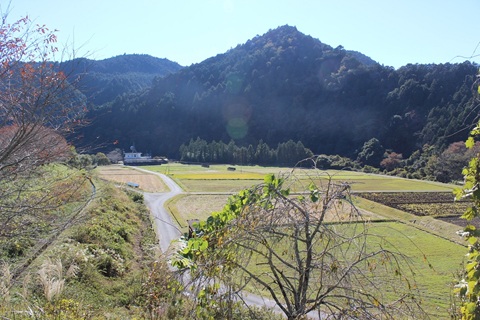 冨田新田 中設楽西