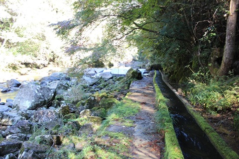 山田用水 山田用水