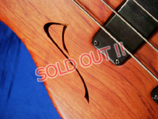 Celinder AURA4