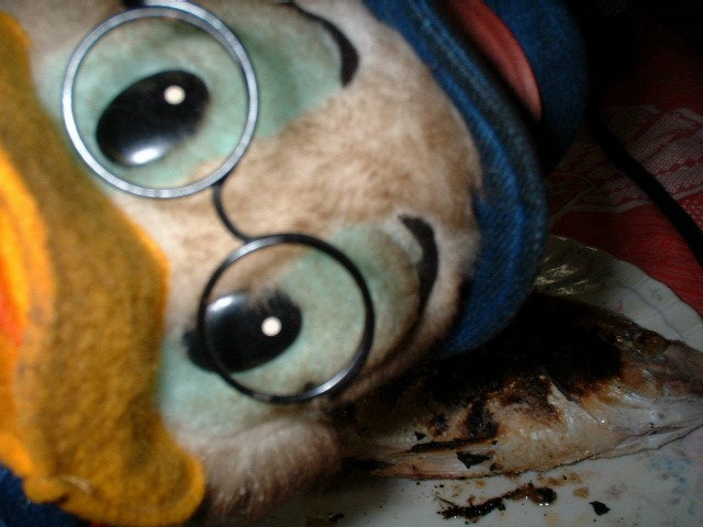 MY��������������