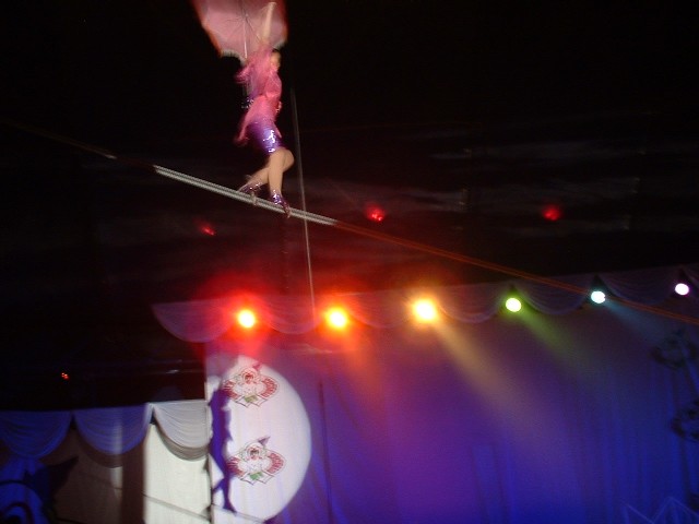 �j�̂ڂ�@�����ĉ���