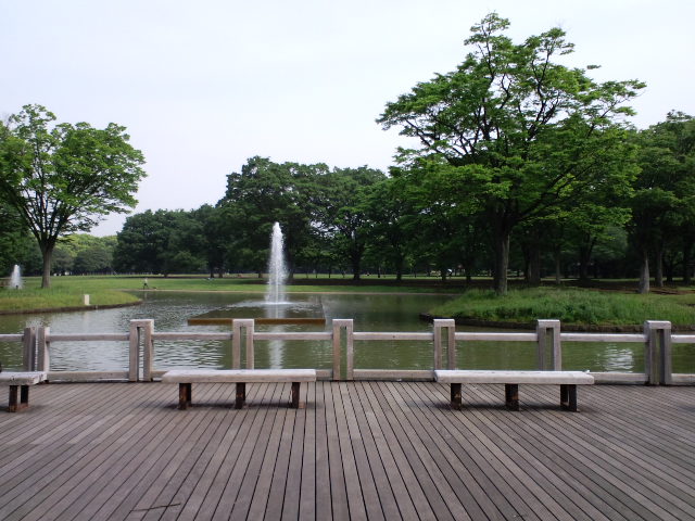 代々木公園