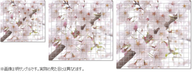 桜碁盤