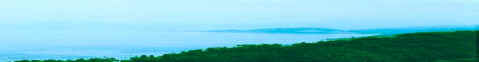 98012506.jpg (9250 oCg)