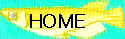 mdkswhome.jpg (3847 oCg)